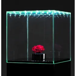 Glashaube mit integrierter LED-Beleuchtung
