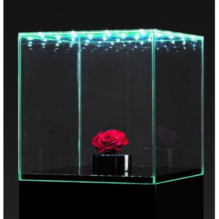 Glashaube mit integrierter LED-Beleuchtung