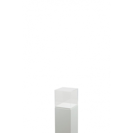 Acrylglashaube