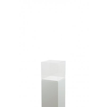 Acrylglashaube