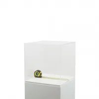 Acrylglashaube