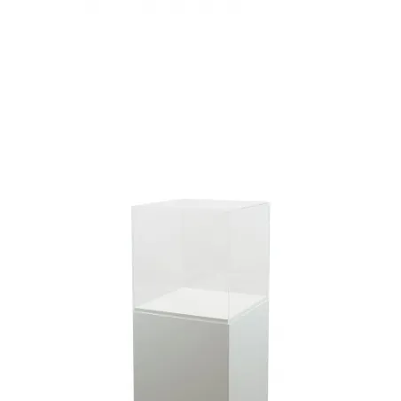 Acrylglashaube