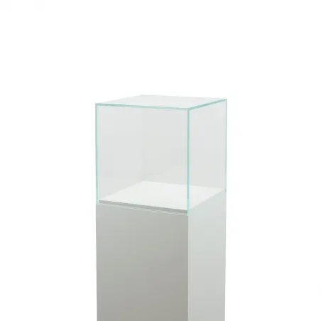 Glasvitrinen