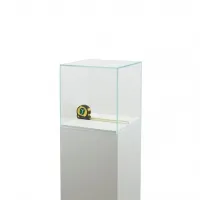 Glasvitrinen