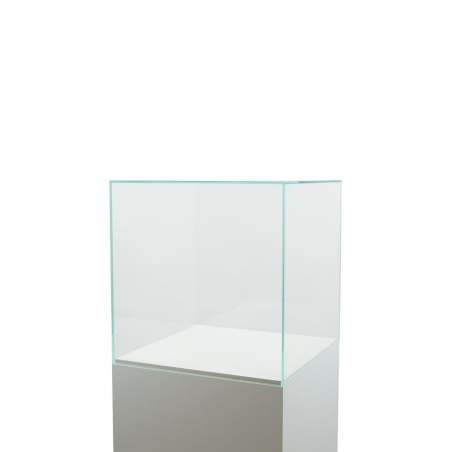 Glasvitrinen