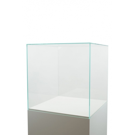 Glashaube