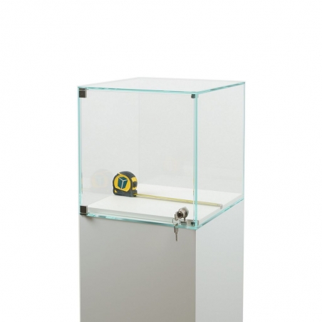 Glasvitrine mit Tür