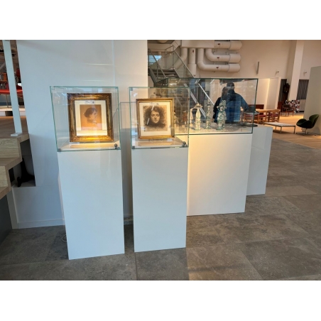 Glasvitrine mit Tür