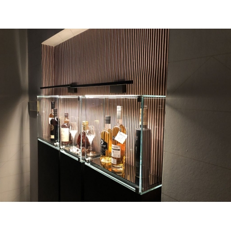 Glasvitrine mit Tür