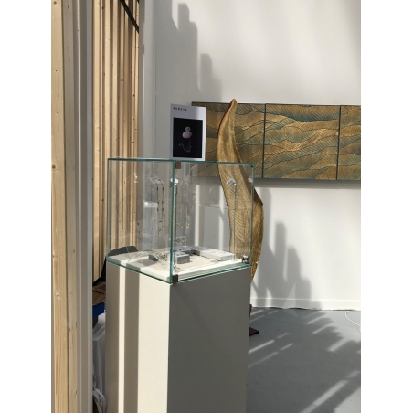 Glasvitrine mit Tür