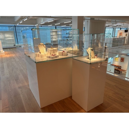 Glasvitrine mit Tür