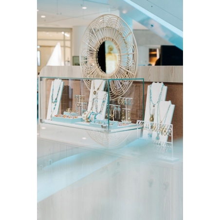 Glasvitrine mit Tür