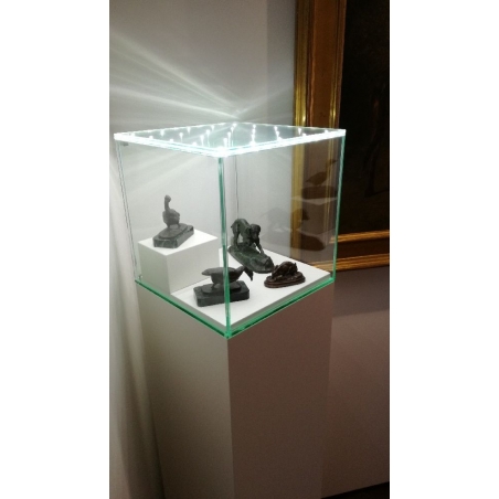 Glashaube mit integrierter LED-Beleuchtung