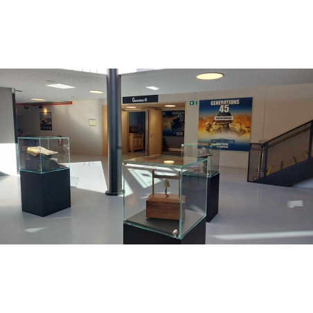 Glasvitrine mit Tür