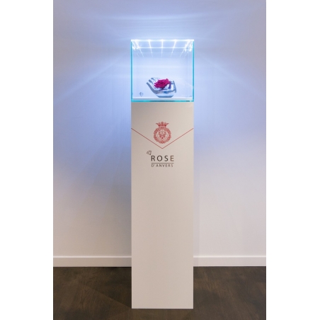 Glashaube mit integrierter LED-Beleuchtung