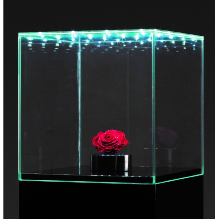 Glashaube mit integrierter LED-Beleuchtung