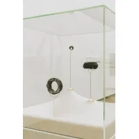 Glashaube
