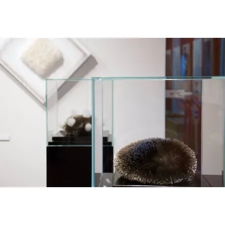 Glasvitrinen