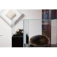 Glasvitrinen